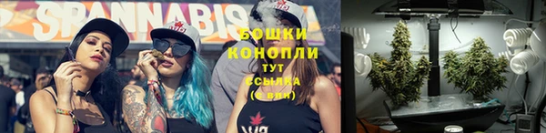 мдпв Няндома