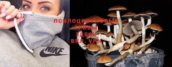 ешки Новокубанск