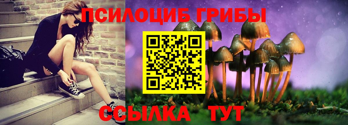Псилоцибиновые грибы Psilocybine cubensis  Вход с VPN  Псилоцибиновые грибы Cubensis  Коряжма 