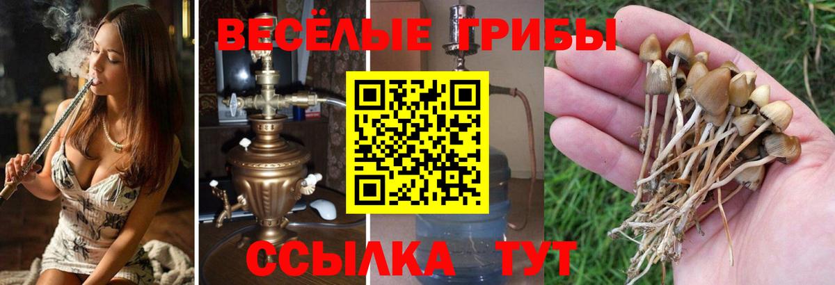 Галлюциногенные грибы MAGIC MUSHROOMS Коряжма