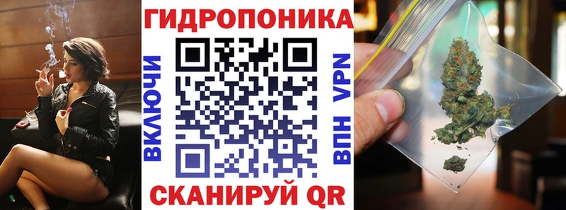 MEGA онион  Коряжма  Марихуана план 